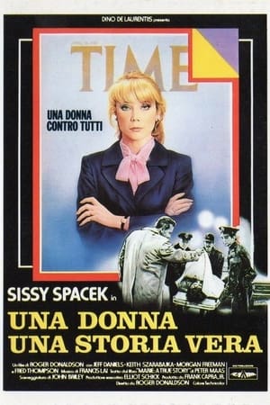 Poster di Una donna, una storia vera