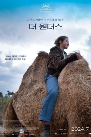 Image 더 원더스