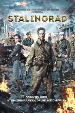 Stalingrad 2013