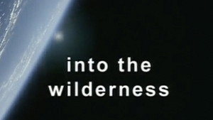 Into the Wilderness