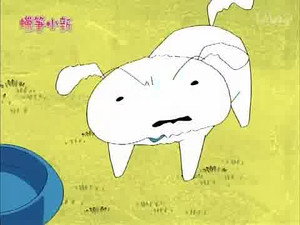 Épisode 825