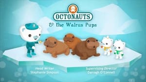 Image Octonauts and the Walrus Pups