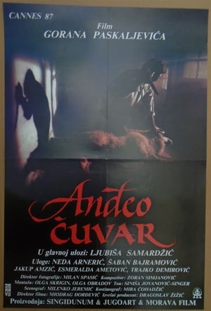 Anđeo čuvar film complet