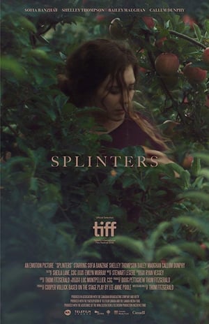 Poster Splinters 2018