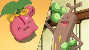 Pokémon Season 12 Episode 21