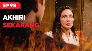 The Dangerous Affair: 1×9