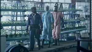 Station Eleven Season 1 Episode 8