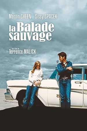 Poster La Balade sauvage 1974