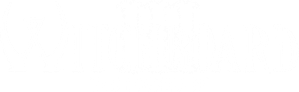 Witchboard III: The Possession