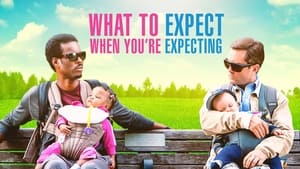 What to Expect When You’re Expecting(2012)