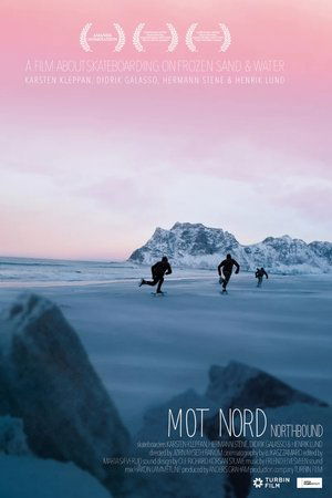 Northbound: Skateboarding on Frozen Sand film complet