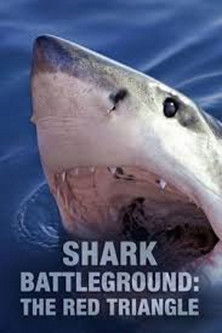 Shark Battleground: Red Triangle