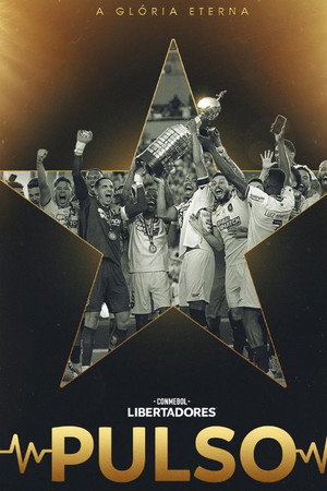 CONMEBOL Libertadores Pulso: Botafogo 2024