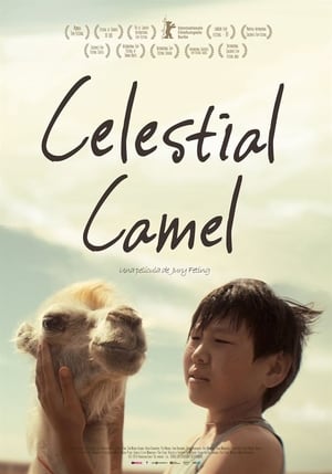 Celestial Camel 2015