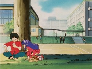 Ranma ½: 1×43