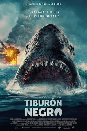 Poster Tiburón negro 2023