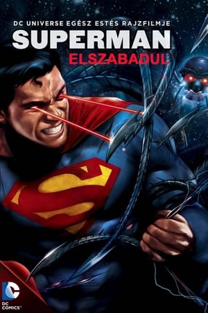 Poster Superman elszabadul 2013