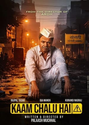 Kaam Chalu Hai (2024) Hindi WEB-DL 1080p 720p 480p AVC EAC3 6ch ESub