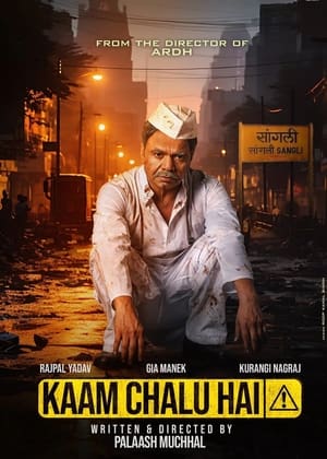 Poster Kaam Chalu Hai 2024