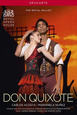 Poster Don Quixote (The Royal Ballet) 2014