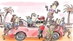 Wer nicht fragt, stirbt dumm!: 1×30