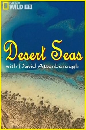 Desert Seas poster