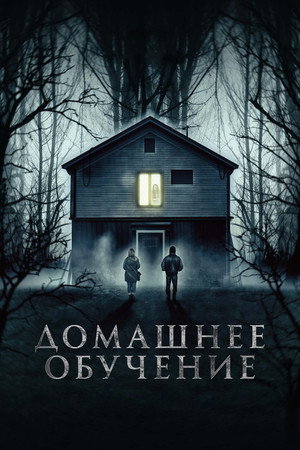 Домашнее обучение