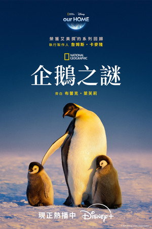 企鵝之謎