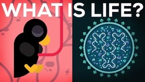 Kurzgesagt - In a Nutshell What Is Life? Is Death Real?