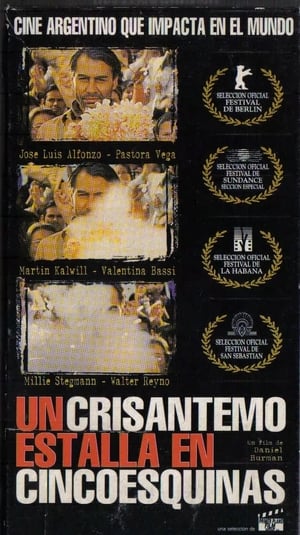 Poster A Crysanthemum Bursts in Cincoesquinas (1998)