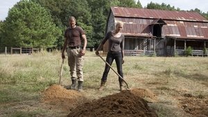 The Walking Dead saison 2 Episode 8