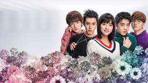 poster Meteor Garden