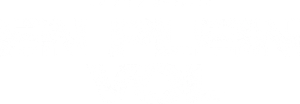 En plein vol