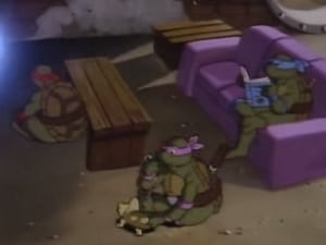 Teenage Mutant Ninja Turtles: 3×1