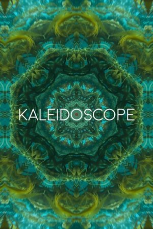 Poster Kaleidoscope (2017)