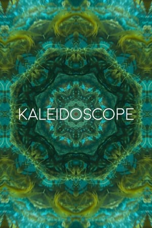 Poster Kaleidoscope 2017