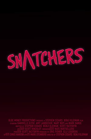 Poster Snatchers 2016