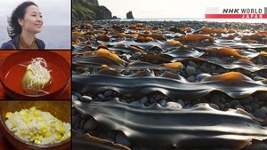 Cook Around Japan - Hokkaido: Home of Kombu