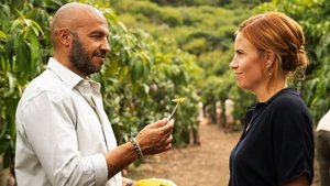 Mango (2025) รักนี้เกิดที่สวนมะม่วง