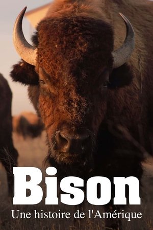Bison : une histoire de l'Amérique movie poster