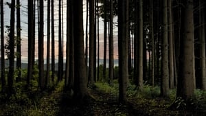 poster L'homme et la forêt