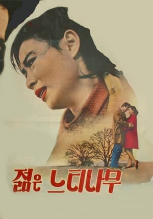 Poster 젊은 느티나무 1968