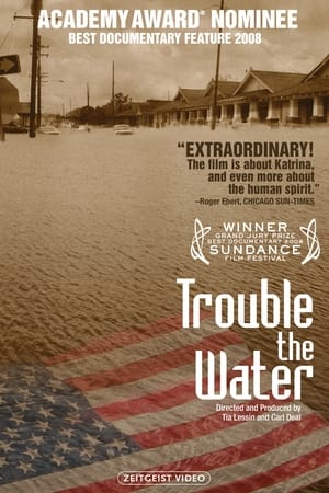 Trouble the Water poster