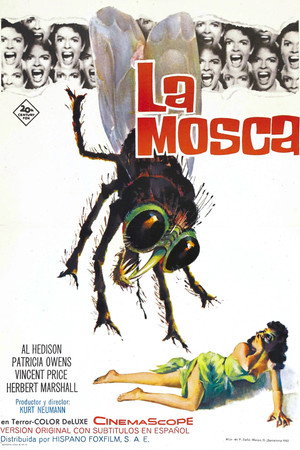 The Fly 68