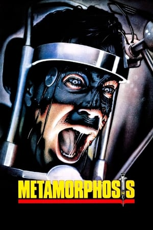 Poster Metamorphosis 1990