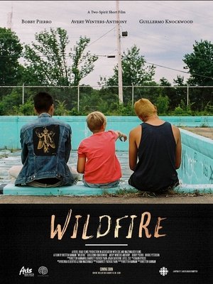 Image Wildfire