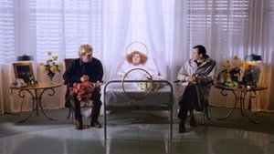 Lo Zoo di Venere (1985)