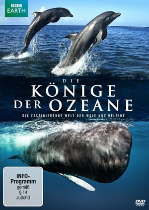 Image Die Könige der Ozeane