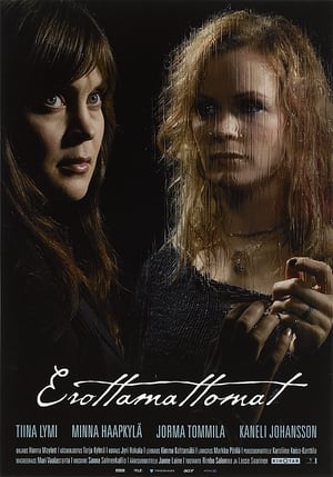 Poster Erottamattomat 2008