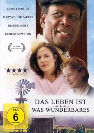 Poster Das Leben ist was Wunderbares 1999